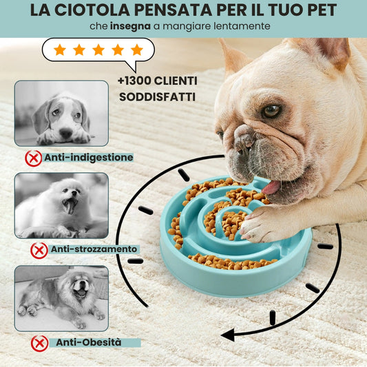 PAW PLATE- La ciotola che protegge il tuo animale