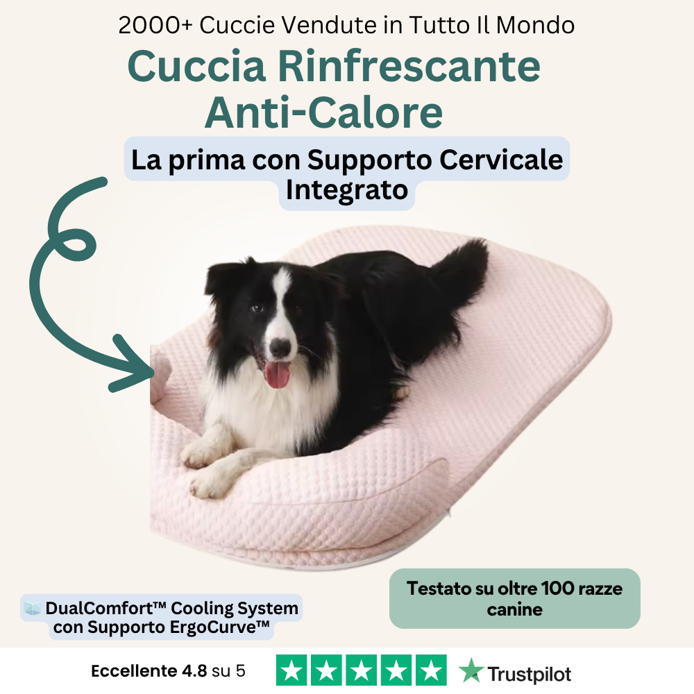 CoolBuddy™️ - Il primo letto rinfrescante e terapeutico per il tuo cane.