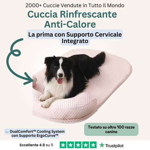 CoolBuddy™️ - Il primo letto rinfrescante e terapeutico per il tuo cane.