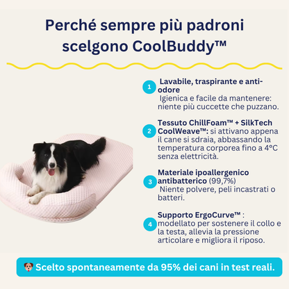 CoolBuddy™️ - Il primo letto rinfrescante e terapeutico per il tuo cane.