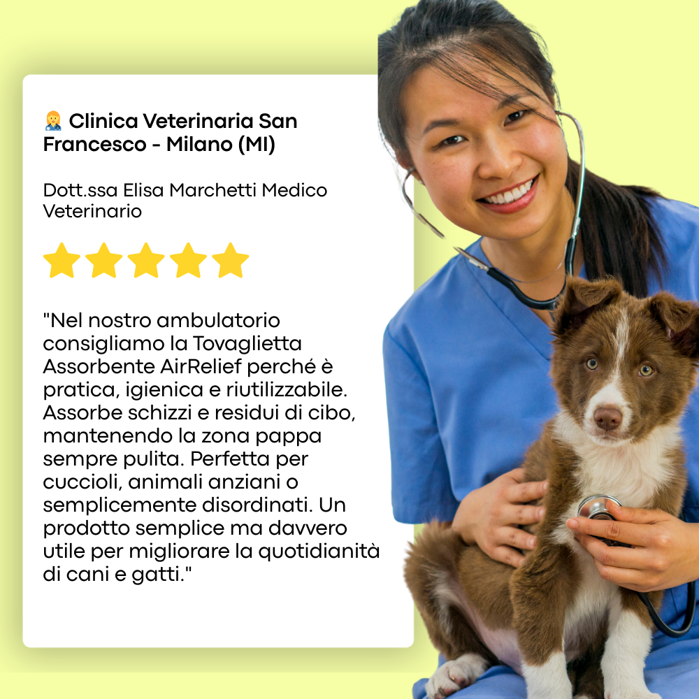 PetAbsorb ™️ - Addio Pavimenti Sporchi!