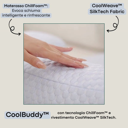 CoolBuddy™️ - Il primo letto rinfrescante e terapeutico per il tuo cane.
